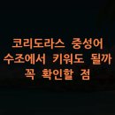 경수약품(주) | 코리도라스 중성어 수조에서 키워도 될까 꼭 확인할 점