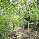 마당바위황토민박 이미지