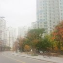 마포월드공인중개사사무소 이미지