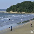 춘장대해수욕장 이미지