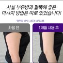 스텔로브 마사지기 효과 내돈내산 직접 후기 및 장단점 사용법 직접 정리