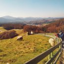 강릉목장 이미지