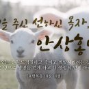 양