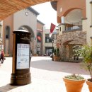 프리멍 샵 애견미용 이미지