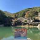 삼성궁주차장 | [하동 가볼만한곳] 11월 지리산 청학동 삼성궁 후기 주차장, 입장료