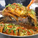 진안읍 1371 이미지