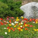 산새농원 이미지