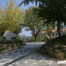 남한강 고운골 자연학습원 이미지