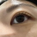 단구초교길 | 원주 속눈썹펌 / 단구동 속눈썹펌 추천, 뷰티로 원주점 후기