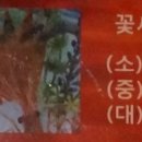 대한민국자연산횟집
