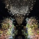 라벤더 | 광주 아이폰 스냅 : 홀리데이 라벤더홀 촬영 후기