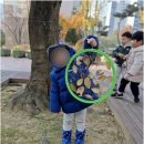 동백어린이집 | 동백의 숨은 보석, 시립백현어린이집에서의 특별한 하루