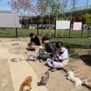 소청도 | 파주 유사촌 유기견 보호 소청도 봉사 후기 2.