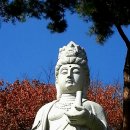 월봉사 - 1558 | 월봉사