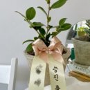 네모필라플라워샵