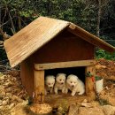 등대길 민박 이미지