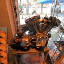 할리하우스 이미지