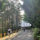 태릉중학교 | 49회 SQLD 합격 후기 + 태릉중을 고른 자 그 무게를 견뎌라..