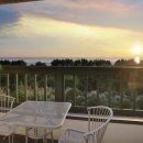 장꽁(카멜리아) 이미지