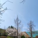 수원대학교 박물관 이미지