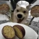 캠프PC방 상대원본점 | 두쫀쿠 30000개 무료나눔합니다. 댓글에 “두쫀쿠”라고 달아주시면 DM 발송됩니다!