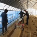 본인농장 이미지