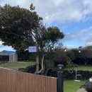 달고나민박 이미지