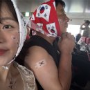 아침바다독도 | [7-8월 여행]독도-울릉도 가족 여행 안 싸우고 잘 다녀온 후기