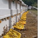 오색농장 이미지