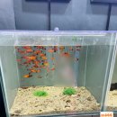 충북 | 아이와 함께 충북 괴산 여행, 충북아쿠아리움 방문 후기