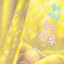 딸기책방 이미지