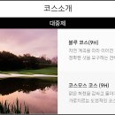 알프스대영 골프빌리지 네이버블로그