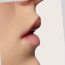 아워스스킨