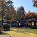 미끄라트 이미지