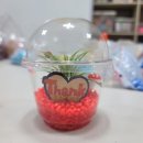 삼평중학교 이미지