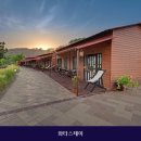 와타스테이 네이버블로그