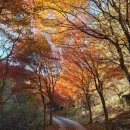 가섭암지화장실 이미지