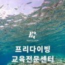 만타 크루 - MANTA CREW