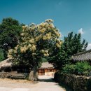 귀화산업 네이버블로그