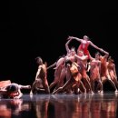 팀 펜로즈 이미지