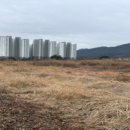 용동초등학교 이미지