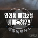 베베 애견유치원 이미지