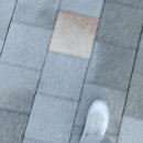 수다서가 이미지