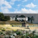 도봉서당 | 24년 11월 경주 서악마을 구절초 / 도봉서당 방문후기