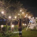 프리마베라펜션 이미지