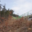 신일산소 이미지