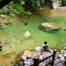 대바우가든 이미지