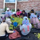 월촌마을회관 이미지