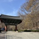 3월 등산, 충청남도 공주시 '계룡산' 등산 후기(동학사 - 은선폭포 - 관음봉)