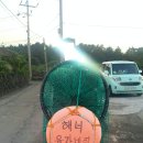 하도리 아는 집 이미지